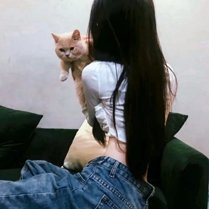 龙潭虎穴